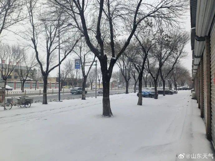 山东多地遭遇罕见暴雪，积雪深度达惊人13厘米！你准备好了吗？看这篇攻略全知道。