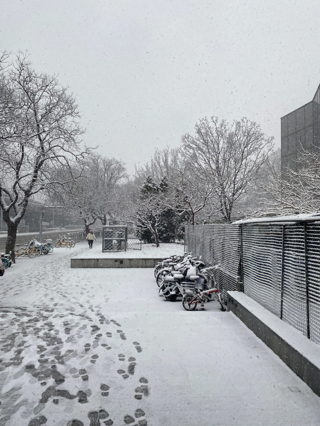 北京竟然下雪了，深度解析与独特体验